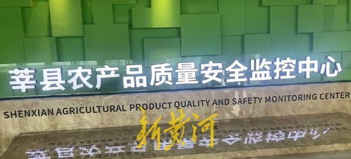 高瞰山東打卡聊城 莘縣蔬菜瓜果安全無憂，網絡安全軟件開發保障數字生活